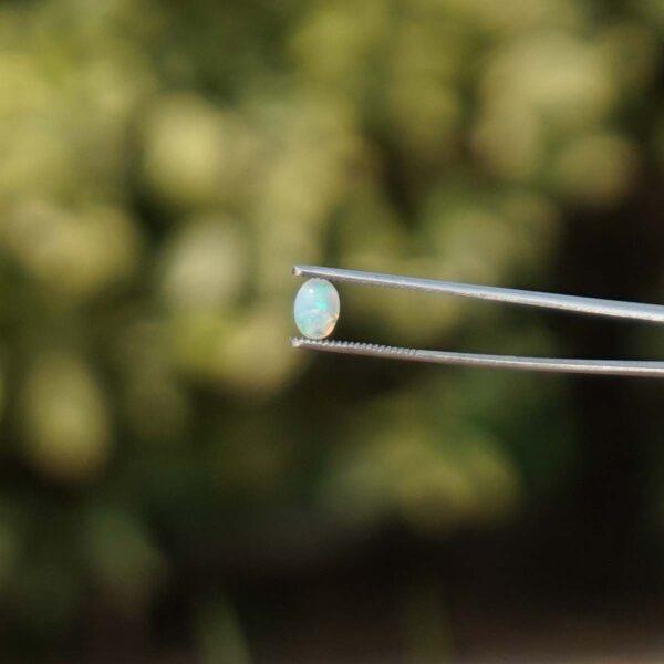 Opal - Image 3