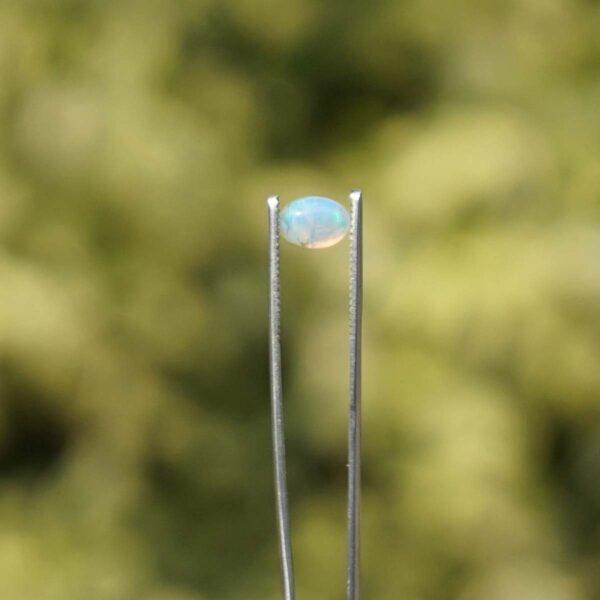 Opal - Image 2