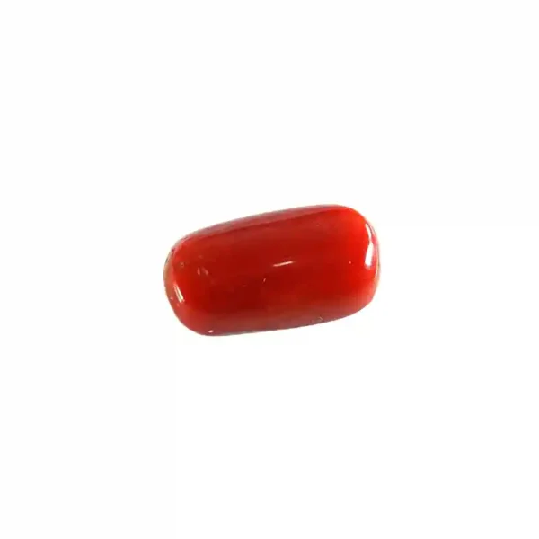 Original Red Marjan in Ajman