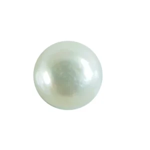 Original Pearl Moti in Abu Dhabi
